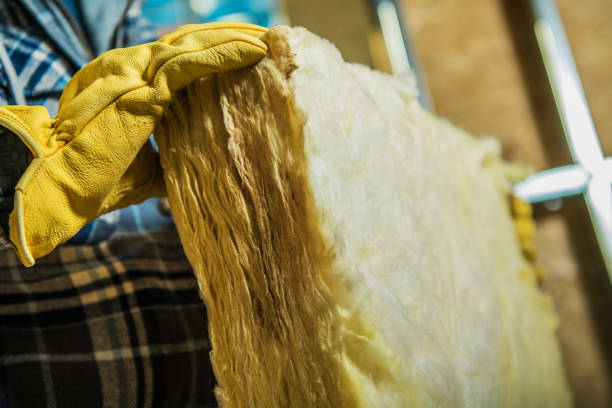 Best Insulation Maintenance and Repair in Delavan Lake, WI