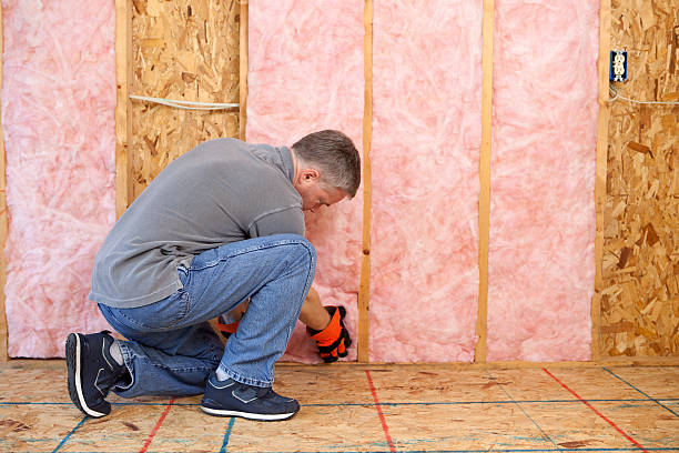 Best Blown-in Insulation in Delavan Lake, WI