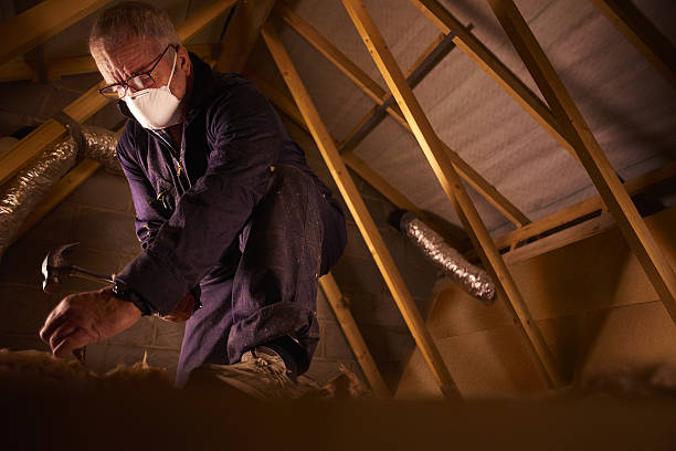 Best Geographic-Specific Insulation Services in Delavan Lake, WI